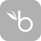 Unknown bwing